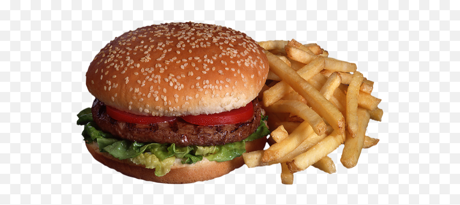 Download Hd One Hundred Dollar Hamburger A Guide - Imagenes De Hamburguesas Y Papas Png,Hamburger Transparent