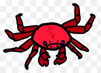 Crab U2013 Illustration Database For Children With Visual Impairment - Freshwater Crab Png,Crab Transparent