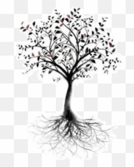 Tree Of Life Root Tattoo Branch - Tattoo Of A Tree With Roots Png,Tree Of Life Png