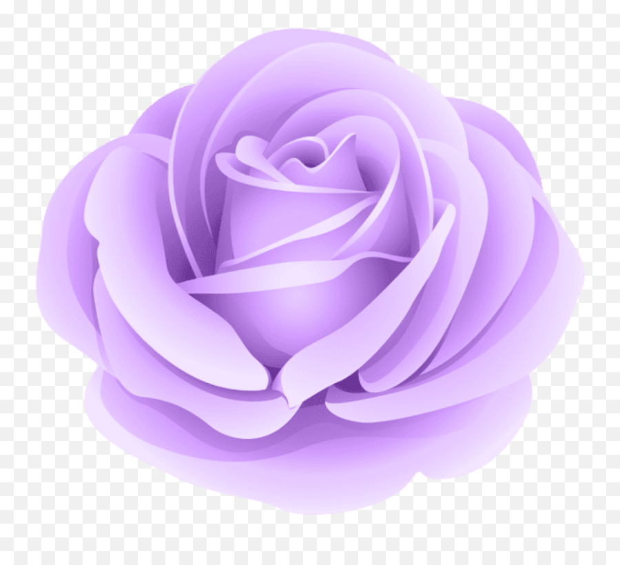 Violet Flower Png - Lilac Rose Vector Png,Purple Rose Png
