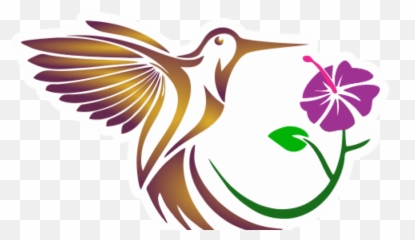 Download Free Png Aves Exoticas De Colombia - Portable Network Graphics