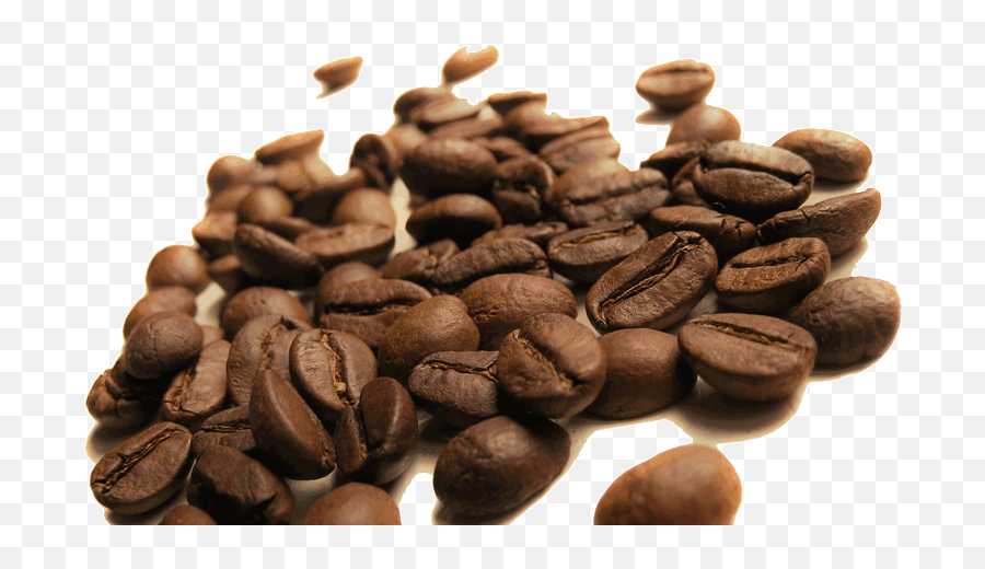 Coffee Bean Png - Our Coffee Beans Originate From 16 Coffee Green Alisado Chile,Coffee Bean Png