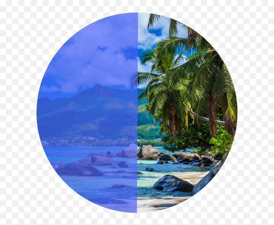 Pie Chart Of 50 With A Beach Background - Painting Png,Beach Background Png