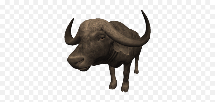 African Buffalo - Ancestors The Humankind Odyssey Wiki Bull Png,Buffalo Png