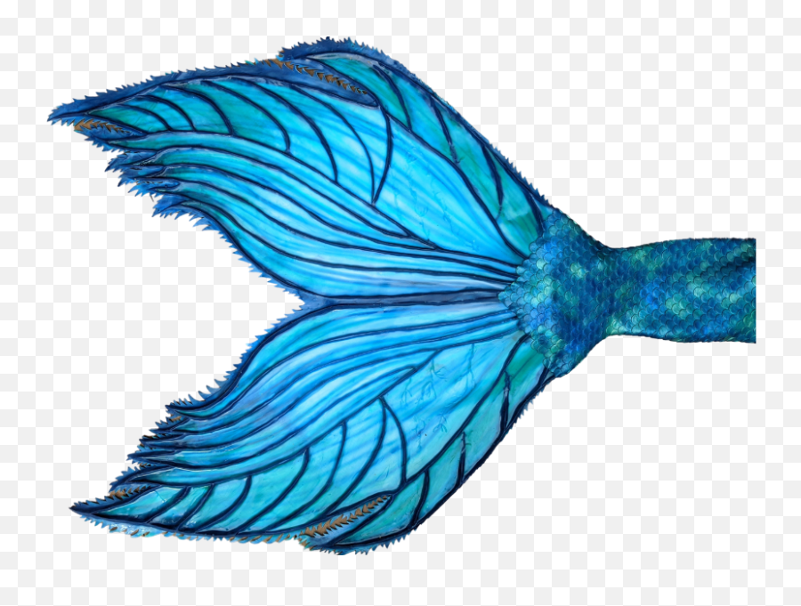 Silicone Mermaid Tails - Fish Png,Mermaid Tail Transparent