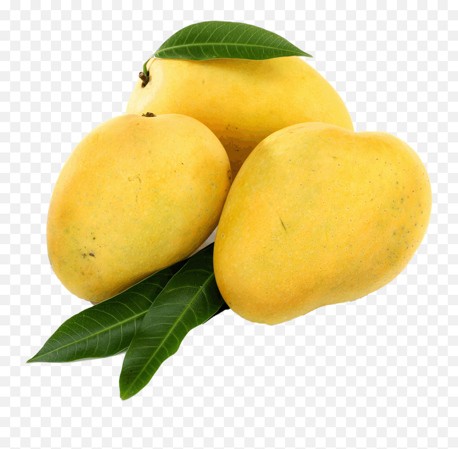 Mango Fruit Png - Yellow Mango Png,Mango Transparent