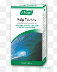 A - Vogel Png,Kelp Png