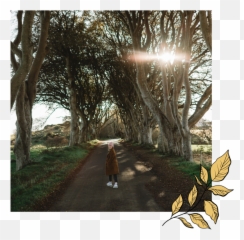 Yorkshire Wedding Photographer - Shade png