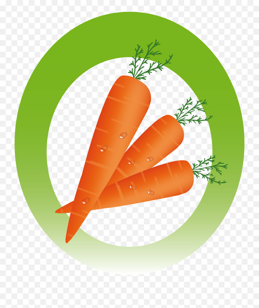 Download Hd Inicie - Baby Carrot Transparent Png Image Superfood,Carrot Transparent