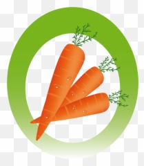 Download Hd Inicie - Baby Carrot Transparent Png Image Superfood,Carrot Transparent