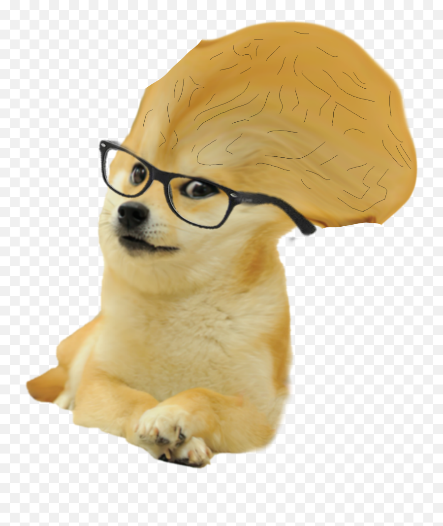 Big Brain Doge Png - Doge Meme White Background,Meme Glasses Png