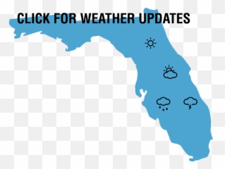 Download Hd Florida Map - State Of Florida Png Transparent Map,Florida Map Png