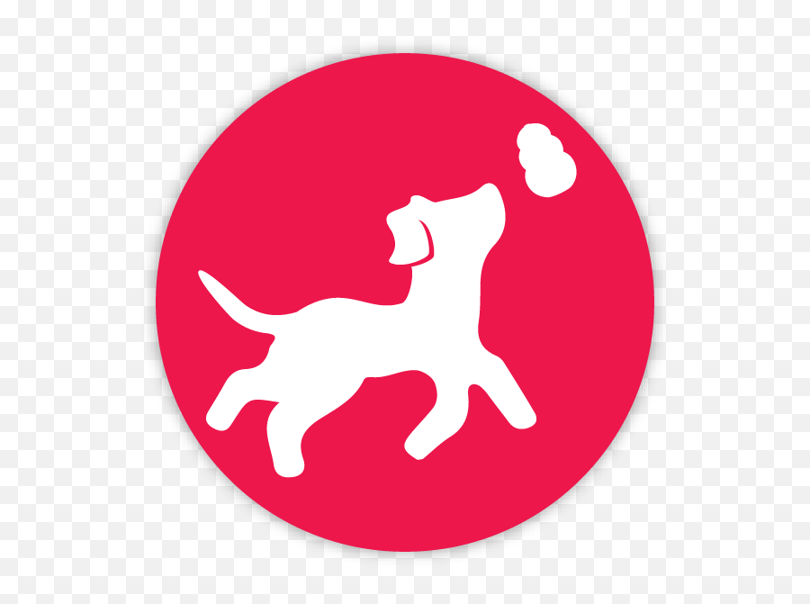 What Is A Kong Dog Toy Company - Mental Stimulation Through Chewing Icon Png,Toy Box Icon