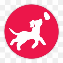 What Is Kong Dog Toy Company - Mental Stimulation Through Chewing Icon png