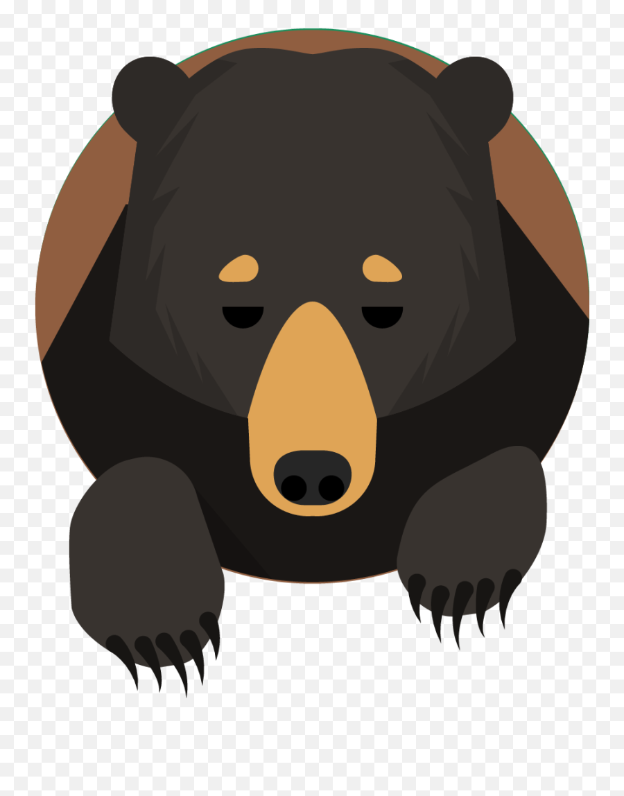 Garrison Tarrytown Hike - My Harriman Cartoon Black Bear Transparent Background Png,Cute Animal Icon