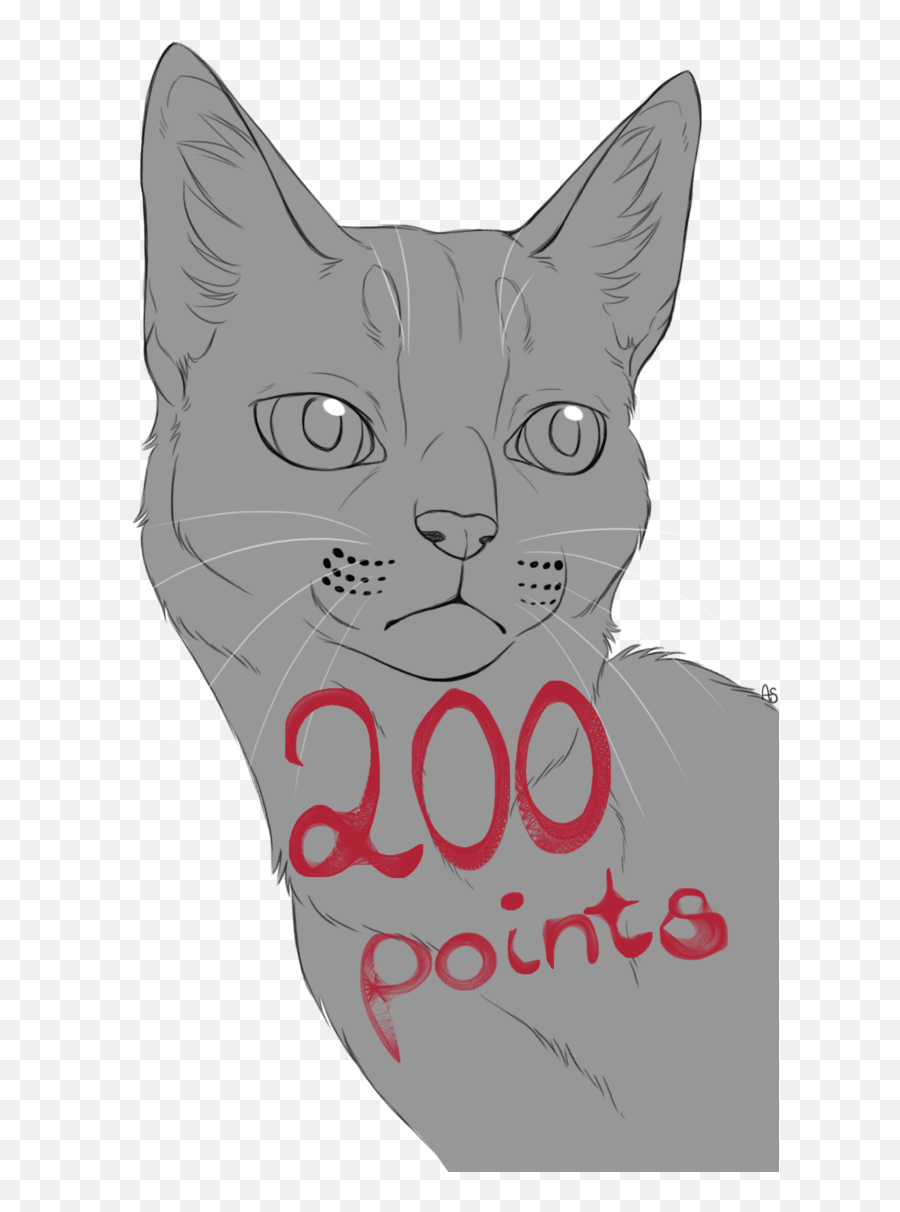 Download Hd Pin By Ellie - Face Transparent Domestic Cat Png,Cat Face Transparent Background