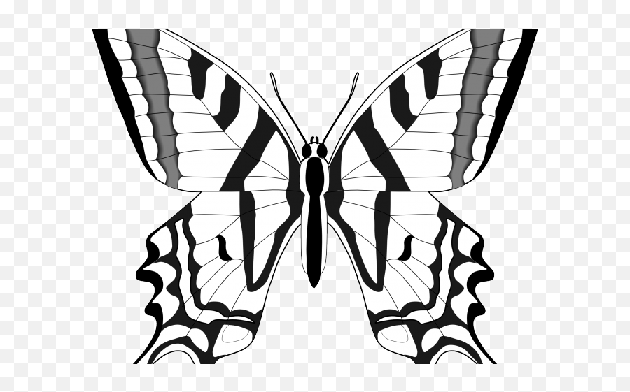 Download Monarch Butterfly Clipart Outline - Swallowtail Black And White Outlines Of Butterflies Png,Butterfly Outline Png
