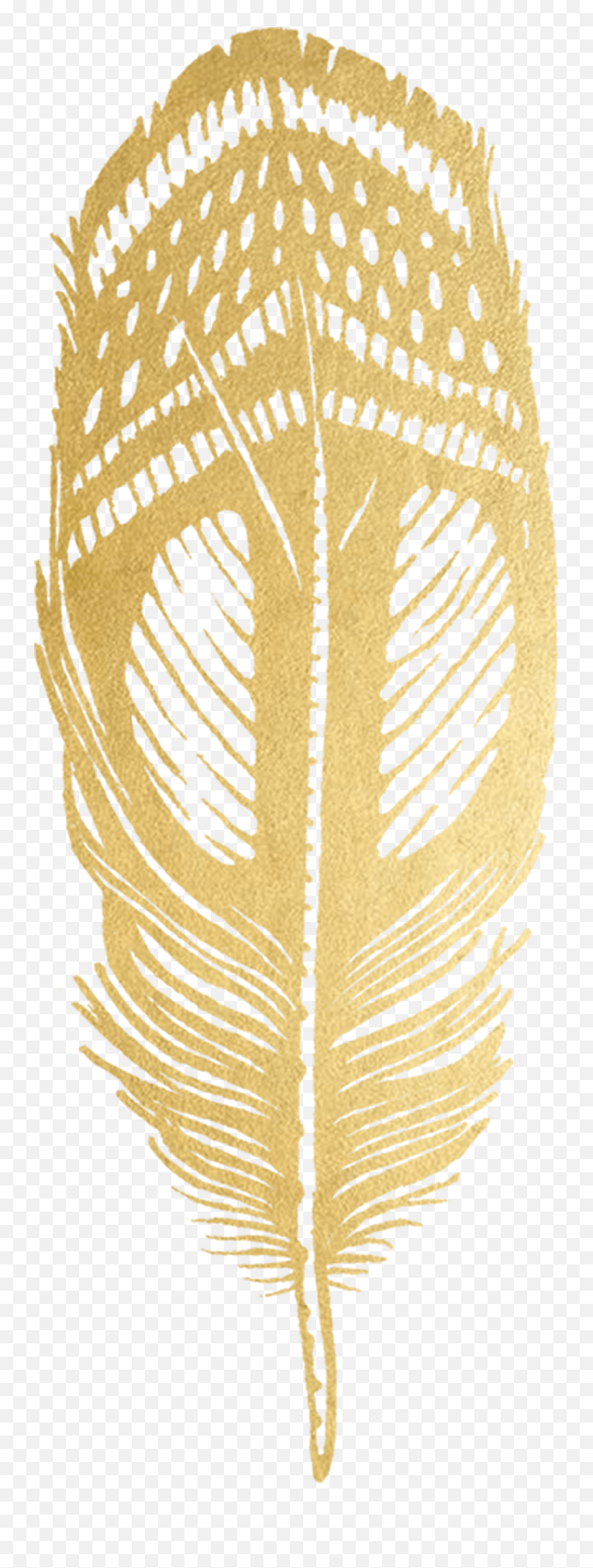 Gold Feather Logo - Logodix Illustration Png,Feather Logo