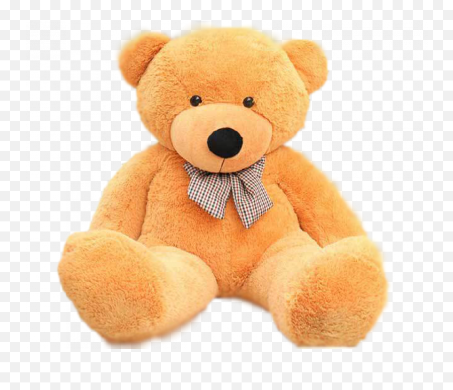 Teddy Bear Png Image - Teddy Bear Hd In Png,Baby Bear Png