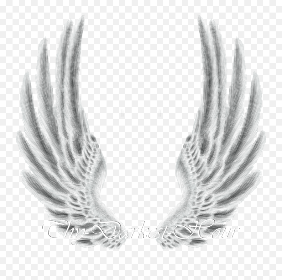 Download Hd Wings - Wings Png For Photoshop Transparent Png Wings For Photoshop Png,Black Angel Wings Png