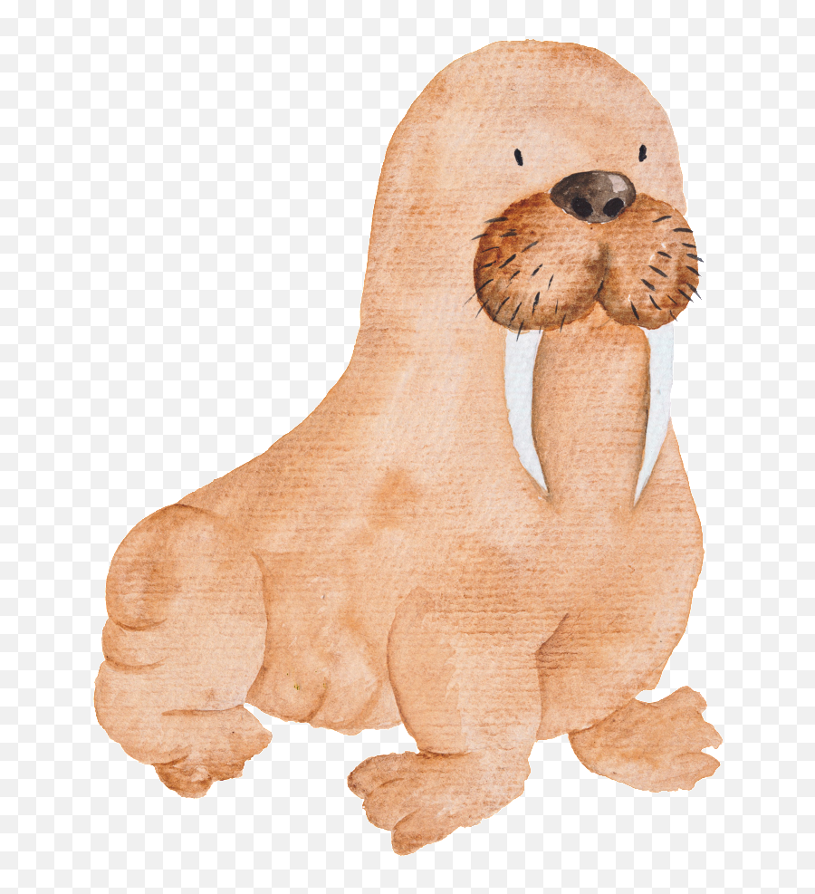 Brown Hand Painted Sea Elephant Cartoon - Capitol Hill United Methodist Church Png,Walrus Png