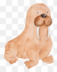 Brown Hand Painted Sea Elephant Cartoon - Capitol Hill United Methodist Church Png,Walrus Png