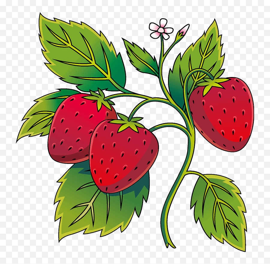 Clipart - Strawberry Png,Strawberries Png
