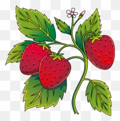 Clipart - Strawberry png