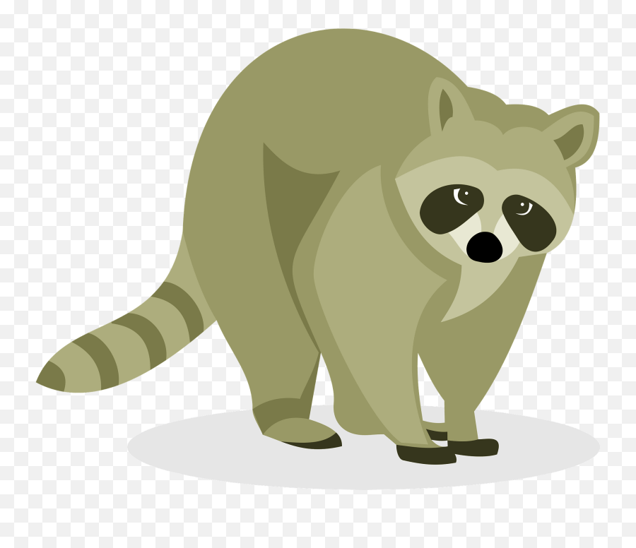 Clipart - Raccoon Png,Raccoon Transparent