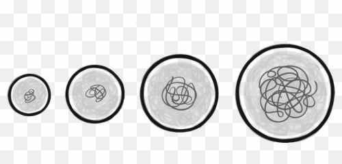 Zygote Vs Embryo Blastocyst And Foetus - Dot Png,Embryo Png