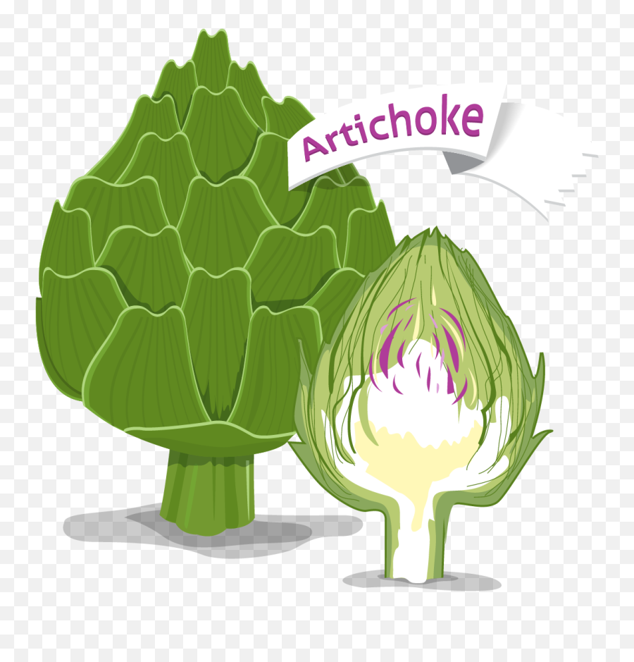 Broccoli Transparent Cartoon - Jingfm Superfood Png,Broccoli Transparent Background