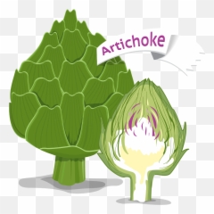 Broccoli Transparent Cartoon - Jingfm Superfood png