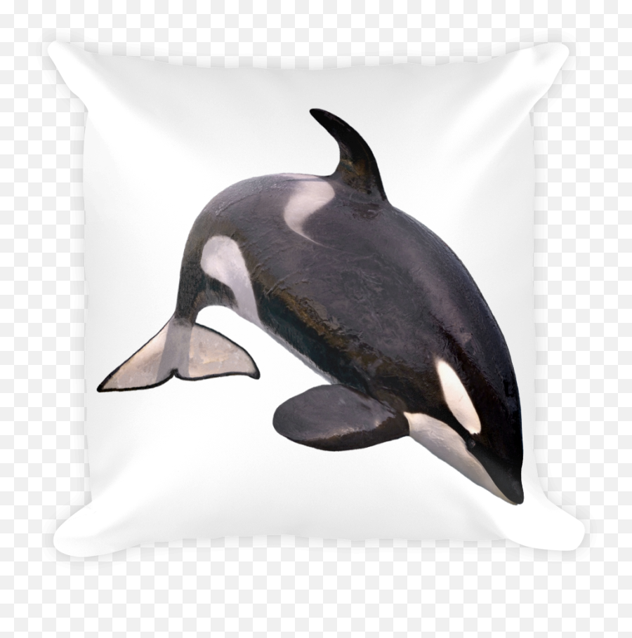 Killer Whale Png - Killerwhale Print Square Pillow Killer Orca En Fondo Blanco,Killer Whale Png