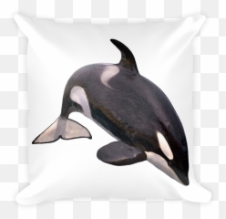 Killer Whale Png - Killerwhale Print Square Pillow Orca En Fondo Blanco