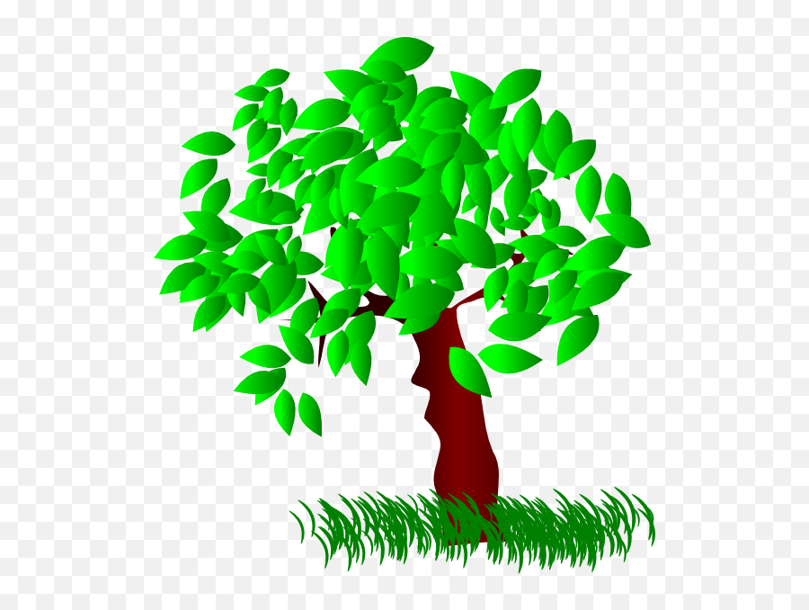 Download Tree Large Leaves Clip Art - Tree Trees With Leaves Clipart Png,Large Tree Png