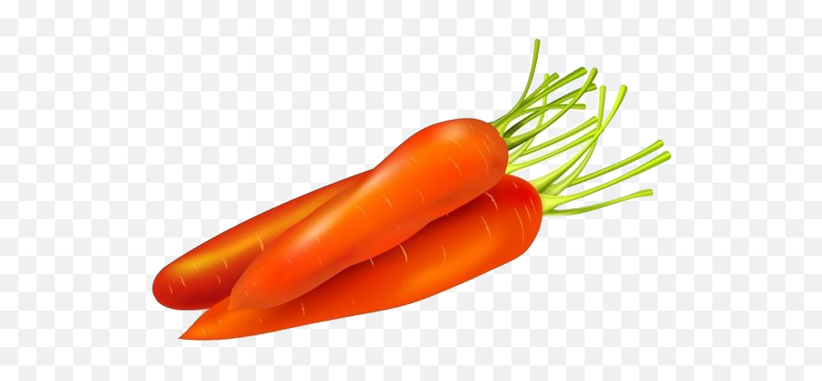 Vector Carrot Transparent Images Png Arts - Carrots Vector,Carrot Transparent