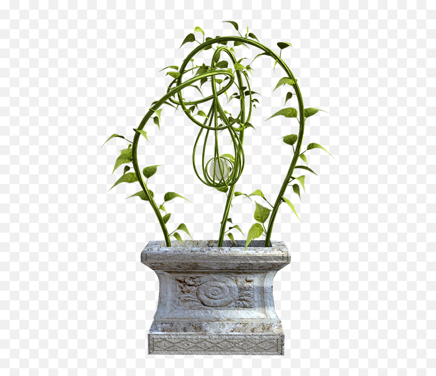 Vines Stone Ivy - Pedestal Png,Wall Vines Png
