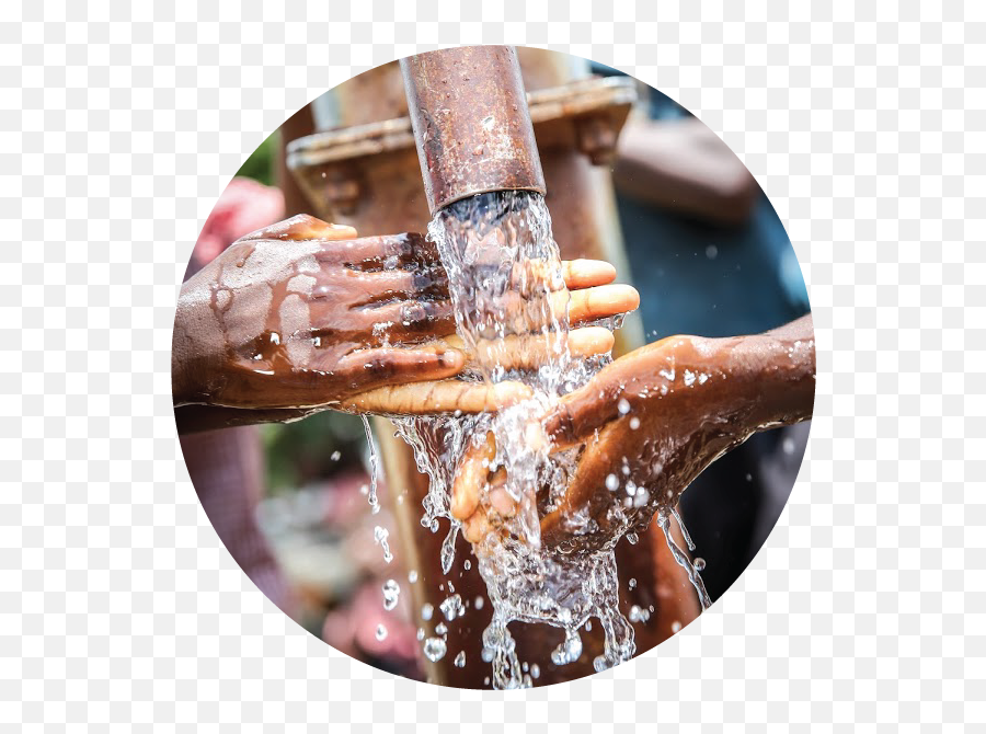 Coming Soon World Water Day U2014 Bloodwater - Marine Invertebrates Png,Blood Hand Png