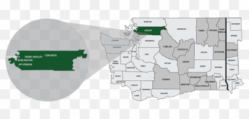 Skagit County Trends - Vertical png