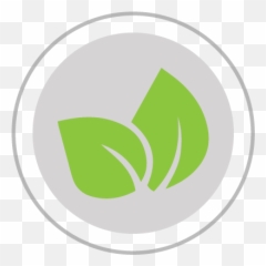 Detox - The IV Bar Language png