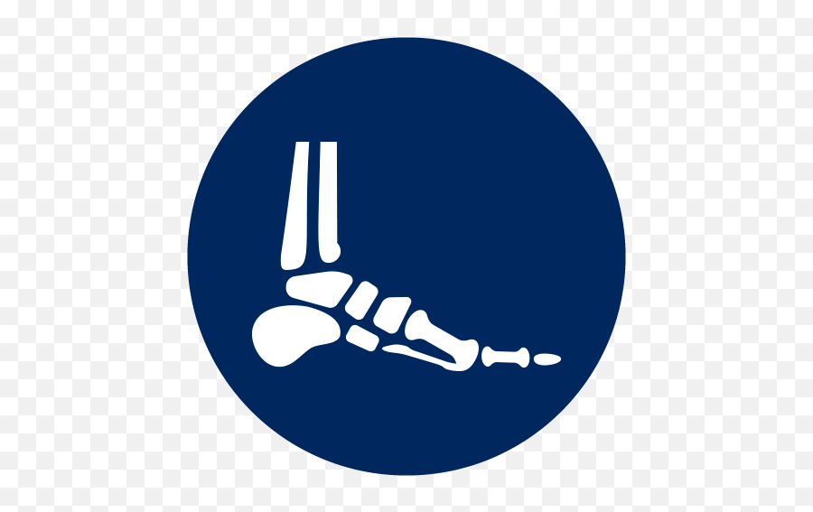 Center For Musculoskeletal Disorders Queens Manhattan - Musculoskeletal Logo Icon Png,Orthopedic Icon