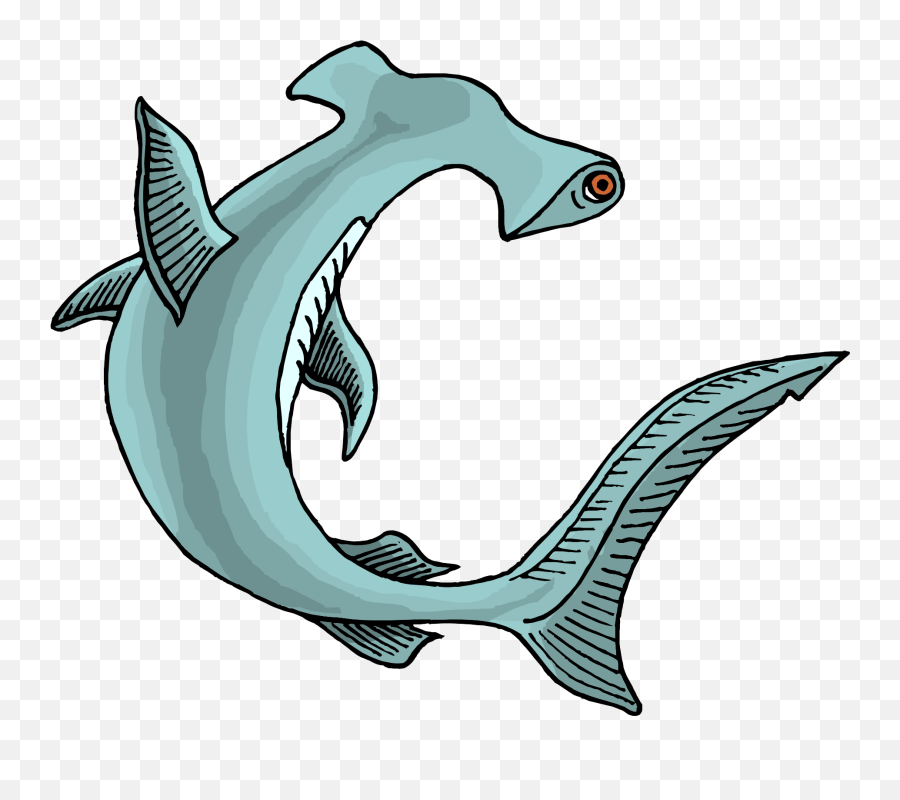 Sharks Png Image File