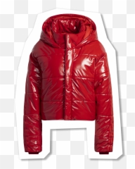 Beyoncéu0027s New Ivy Park Collection Is Here Shop Heart - Hooded png