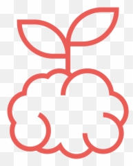 Download Hd Brain Health U0026 Wellness - Brainstorm Icon Jpg Icone png
