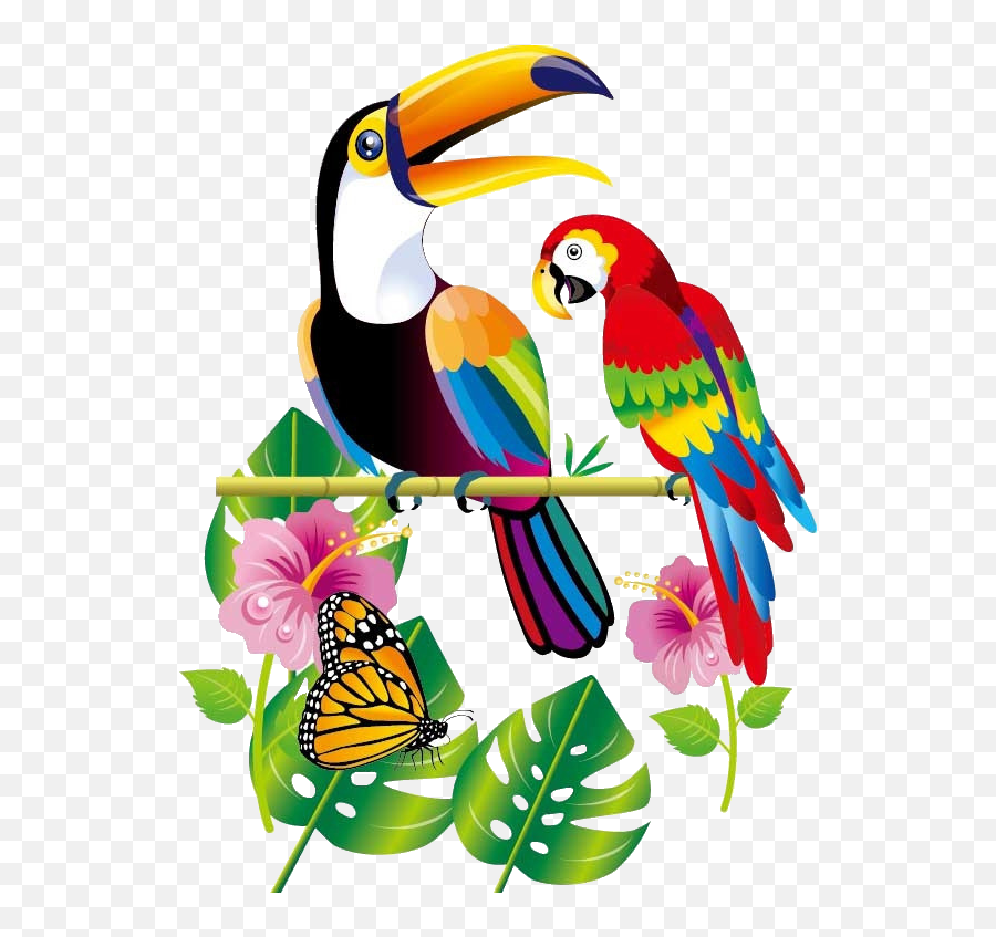 Rainforest Clipart Toucan - Tucano E Papagaio Desenho Png,Tucan Png