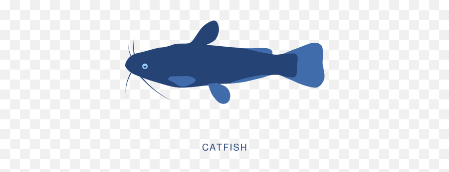 Catfish Fish Fishing Animal - Bagre Siluriformes Animado Rosa Png,Catfish Png