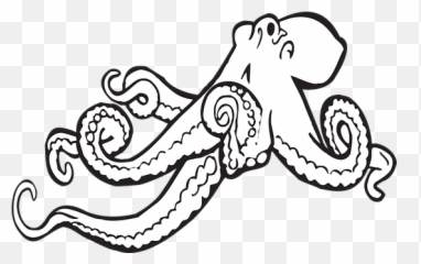 Free Tentacles Octopus Vectors - Clipart Black And White png