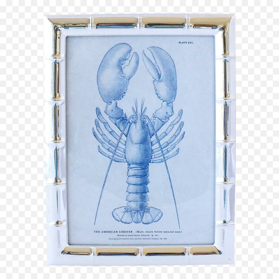 Plantation Bamboo Frame - Homarus Png,Bamboo Frame Png