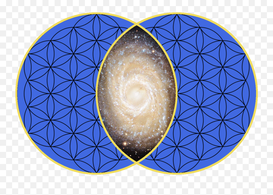 Flower Of Life Sacred Geometry 33 - We In The Universe Png,Flower Of Life Png