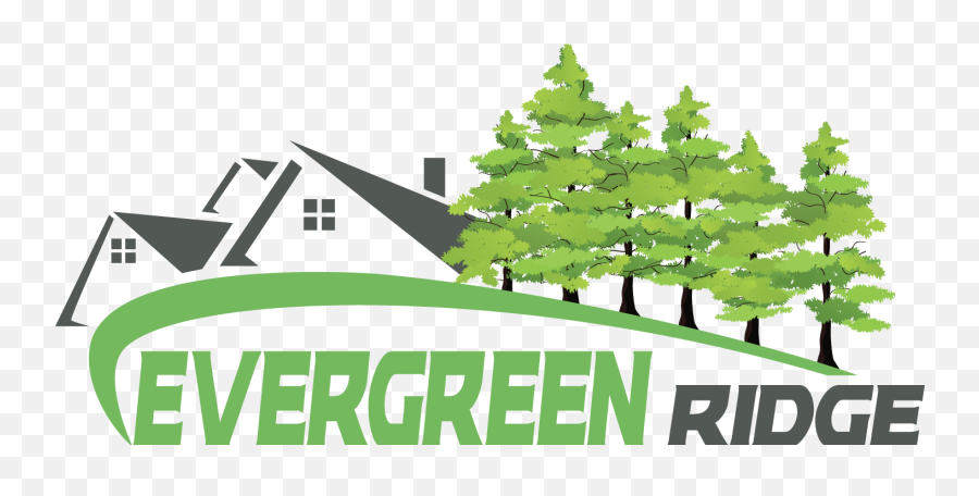 Download About Evergreen Ridge Estates - Christmas Tree Png Christmas Tree,Evergreen Tree Png